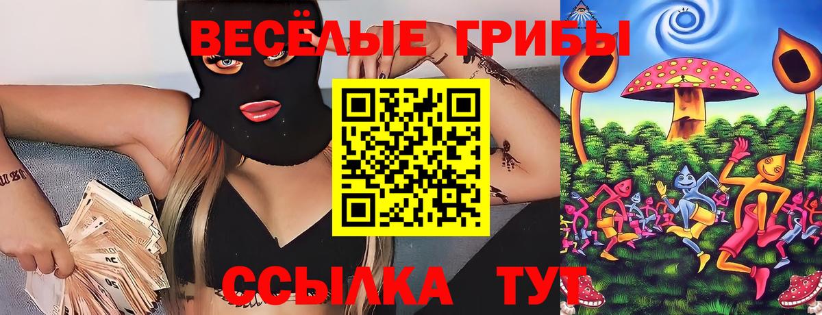 наркошоп  Псилоцибиновые грибы Psilocybe  Вход с VPN  Новоуральск 