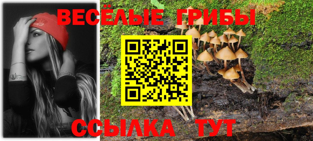 Галлюциногенные грибы Psilocybine cubensis Новоуральск